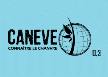 Urbanoïde animation